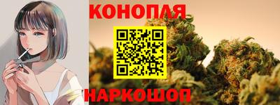 индика Севастополь