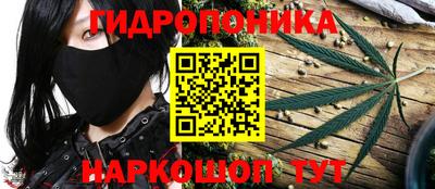 марихуана Северобайкальск