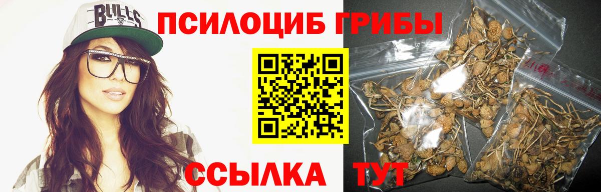 Псилоцибиновые грибы MAGIC MUSHROOMS  купить закладку  Сегежа  Вход с VPN 
